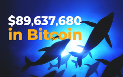 Whales Transfer $89,637,680 in Bitcoin As BTC Strives to Remain Above $10,000